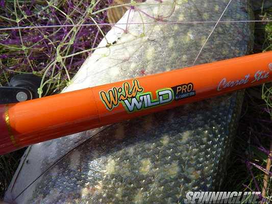 Изображение 1 : Обор удилища Carrot Stix Wild Wild Pro 701MH.