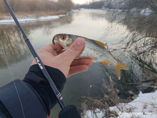 Изображение 2 : Удачная рыбалка на зимней реке
