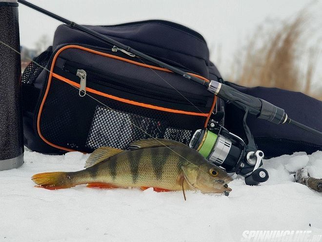 Изображение 7 : Сумка-рюкзак для ходовой рыбалки - Следопыт SLING SHOULDER BAG