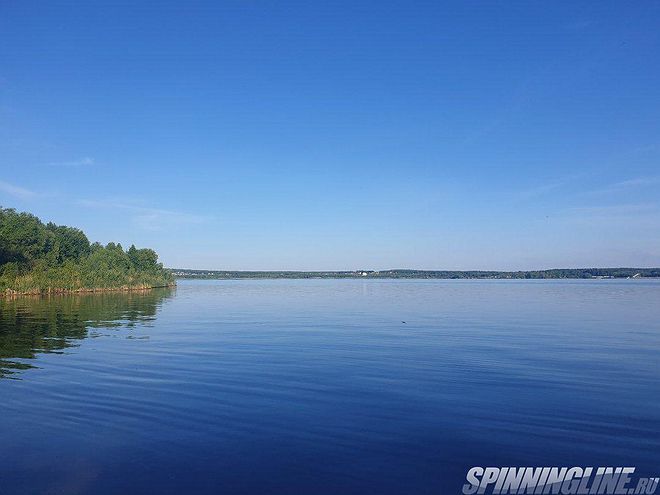 Изображение 1 : Ловля окуня на дальняке